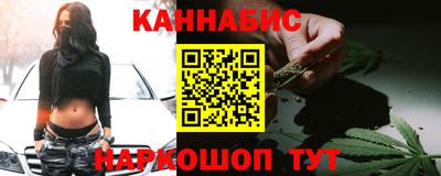 гидра Ставрополь