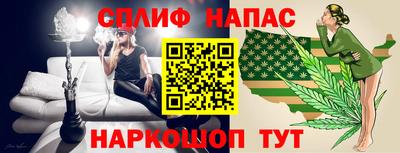 гидра Ставрополь