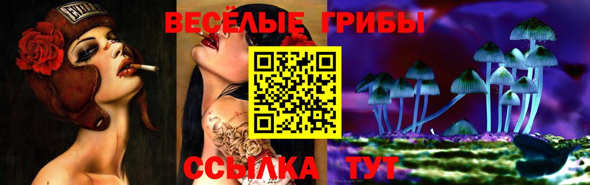 Сатка  Псилоцибиновые грибы Psilocybe  Вход с VPN 